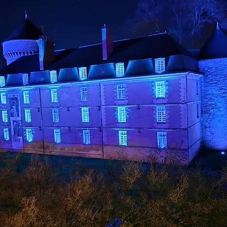 Vue Unique Sur Le Chateau De * トゥール